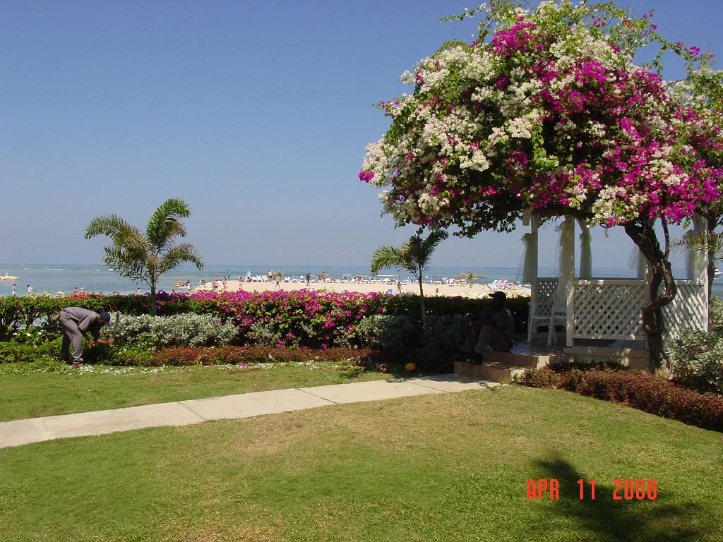 Weddings By The Sea